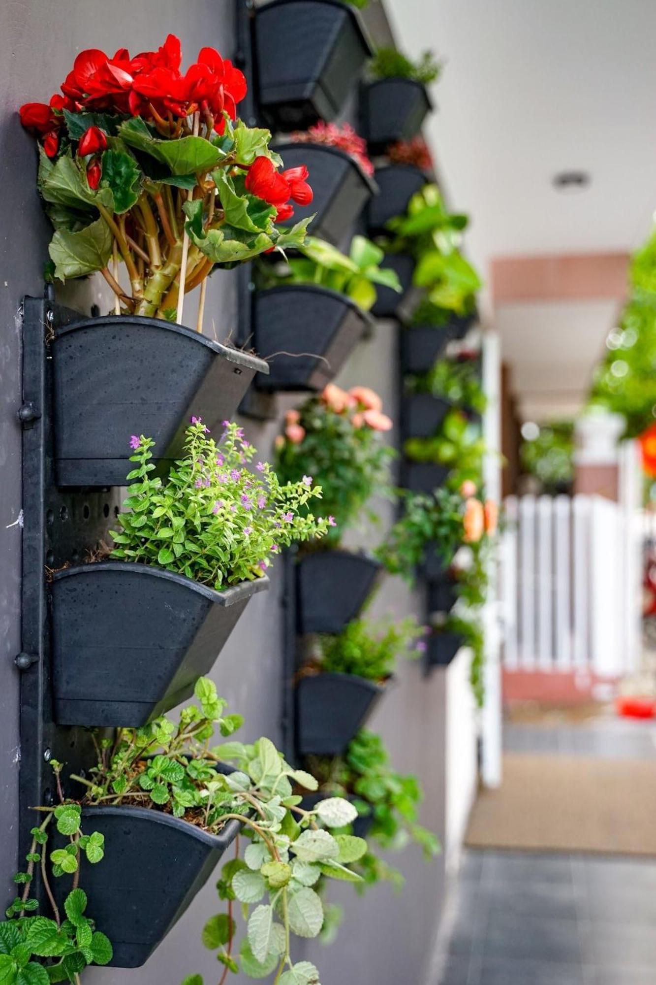 Local White House - Ecofriendly Homestay ดานัง ภายนอก รูปภาพ