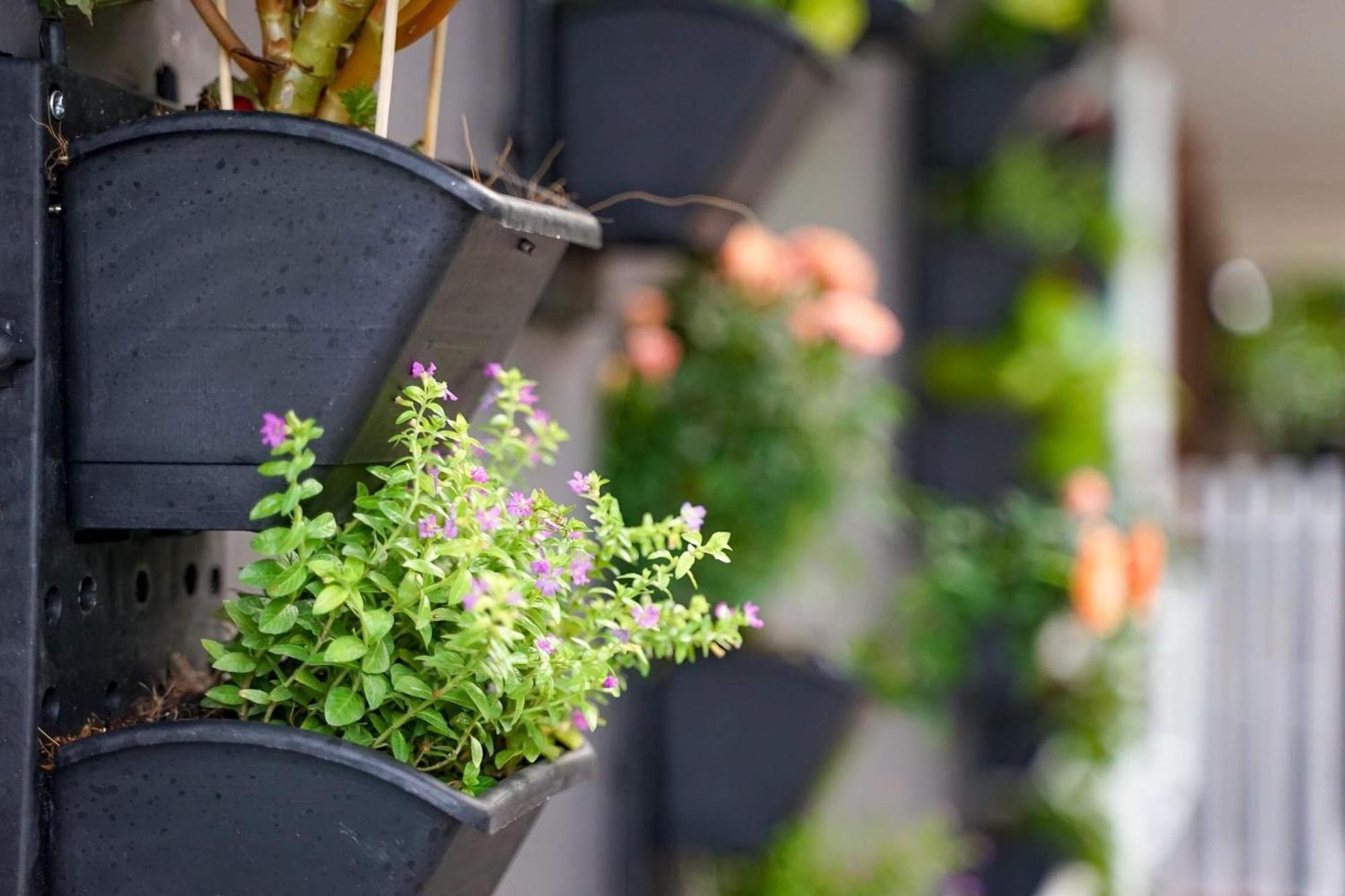 Local White House - Ecofriendly Homestay ดานัง ภายนอก รูปภาพ