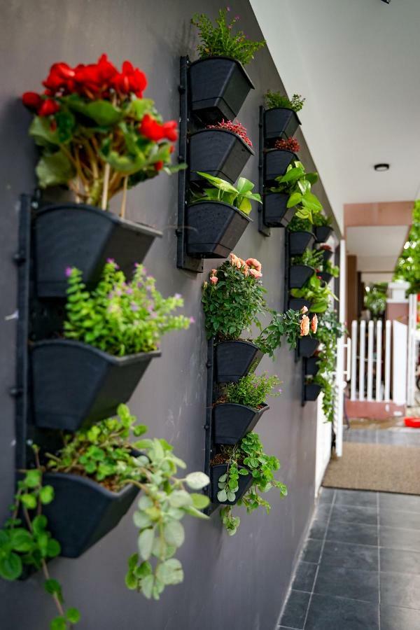 Local White House - Ecofriendly Homestay ดานัง ภายนอก รูปภาพ