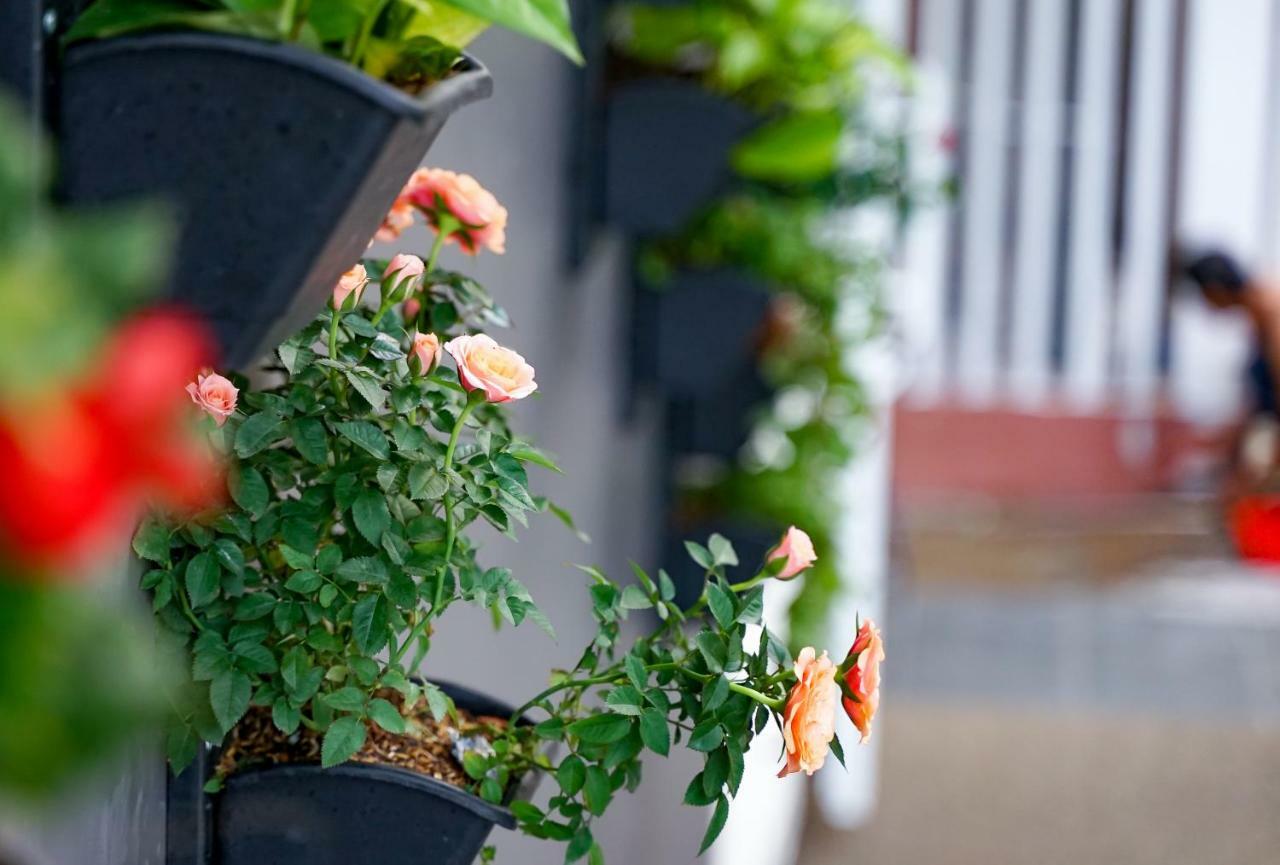 Local White House - Ecofriendly Homestay ดานัง ภายนอก รูปภาพ